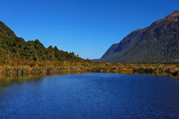 Дзеркало озера в Новій Зеландії — стокове фото