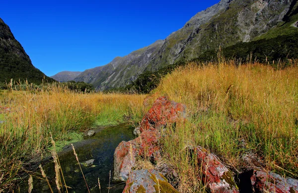 Nieuw-Zeeland platteland — Stockfoto