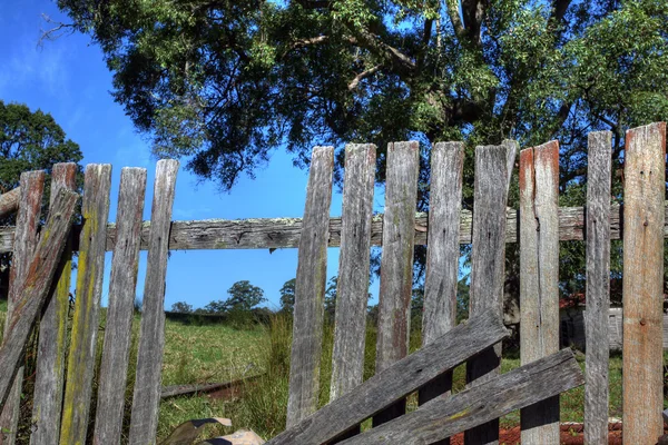 Verweerde hek — Stockfoto