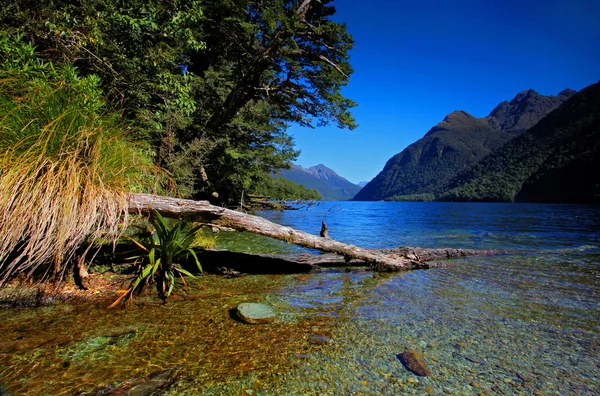 Paisaje de montaña en Nueva Zelanda — Foto de Stock