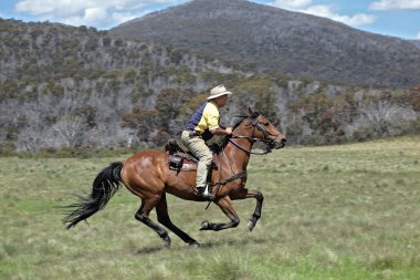 Man and horse clipart