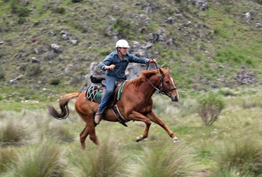 Man and horse clipart