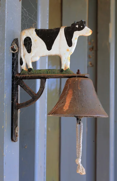 Campana vaca — Foto de Stock