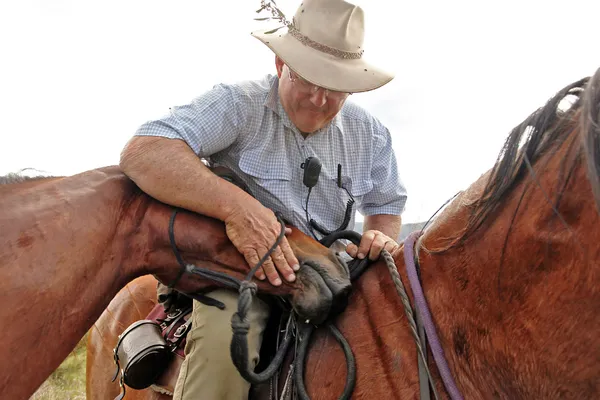 人間と馬 — ストック写真