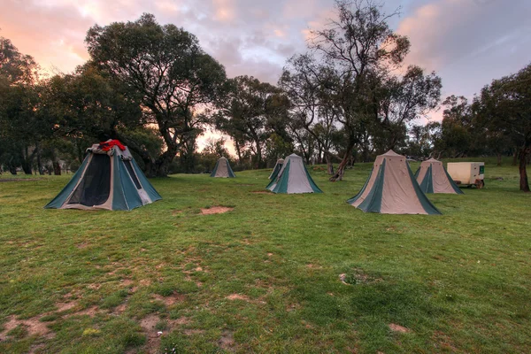 Camping dans la brousse — Photo