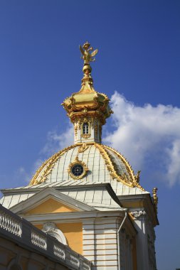 peterhof Sarayı