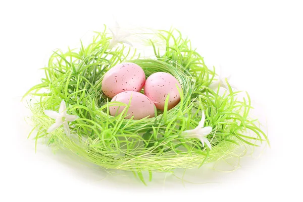 Nest met eieren — Stockfoto