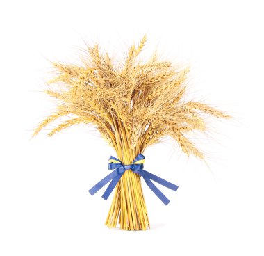 Wheat with bow clipart