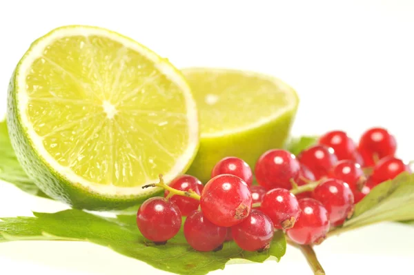 Red currant and lemon — Stock Photo, Image
