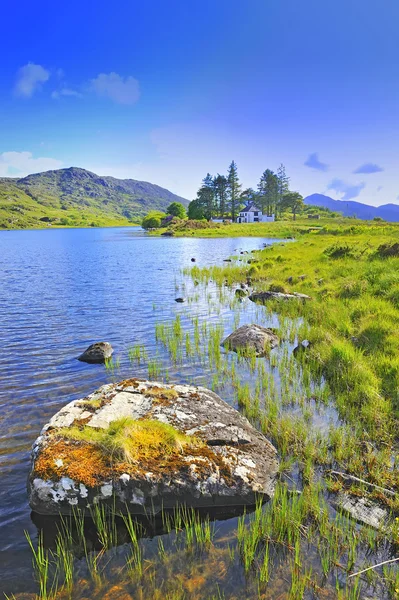 Landskapet i Irland — Stockfoto