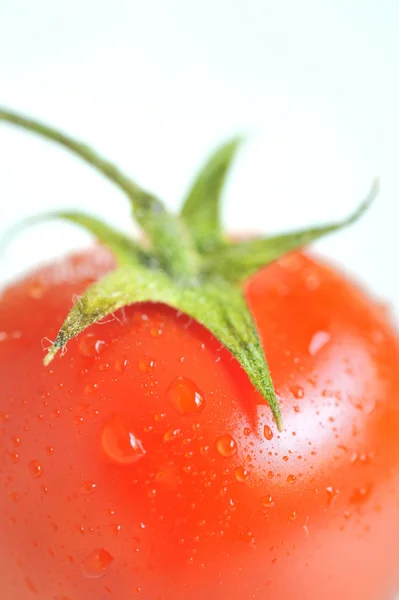 Красный помидор с капельками воды — стоковое фото