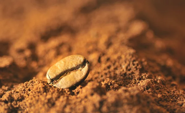 Macro coffee beans and ground coffee — Stock Photo, Image