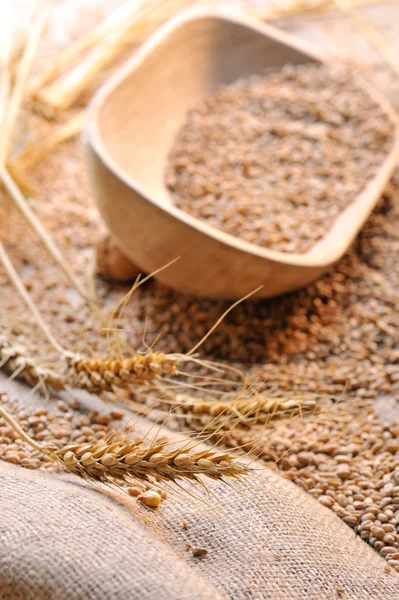 Semillas de trigo sobre materia bruta — Foto de Stock