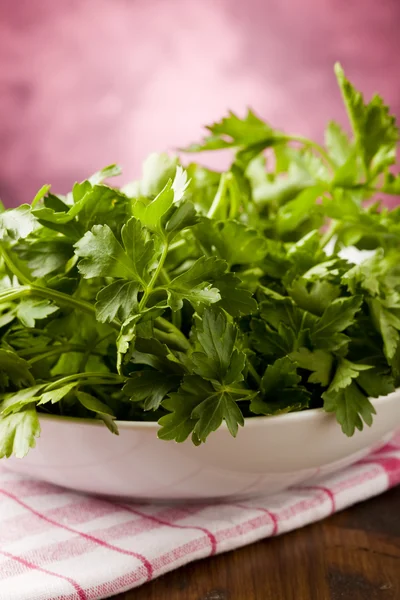 stock image Parsley