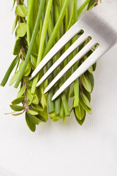 Fork with hebs — Stock Photo, Image