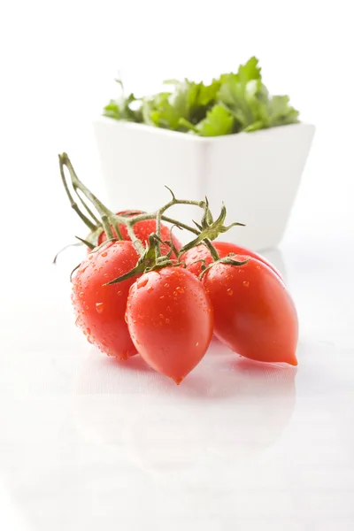 Tomate e salsa — Fotografia de Stock