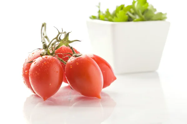 Pomidor i natką pietruszki — Zdjęcie stockowe