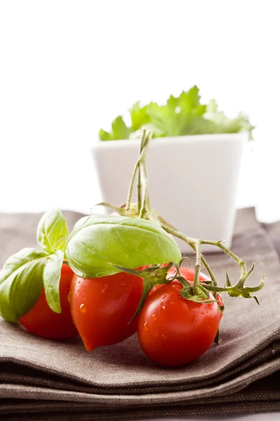 Tomate et persil sur serviette — Photo