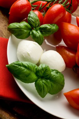 domates mozzarella salatası