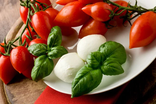 Pomidor sałatka z mozzarellą — Zdjęcie stockowe