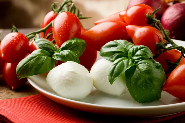 Tomatoe Mozzarella Salad — Stock Photo, Image