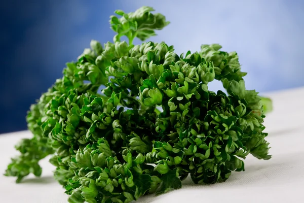 Curley Parsley — Stock Photo, Image