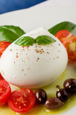 domates mozzarella salatası