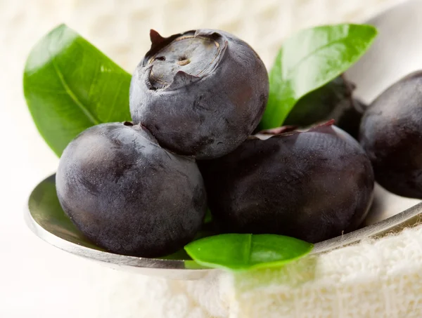 Blueberries on spoon — Stock Photo, Image