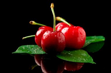 Cherries clipart