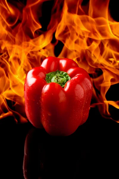 Pepper with fire background — Stock Photo, Image