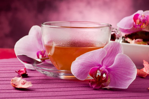 Orchidej čaj — Stock fotografie