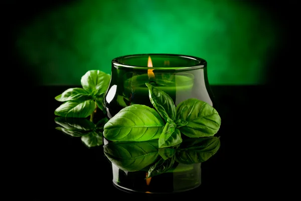 Candle with basil flavour — Stock Photo, Image