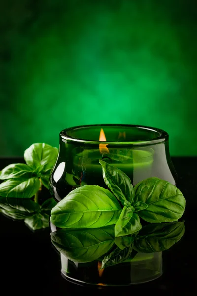 Candle with basil flavour — Stockfoto