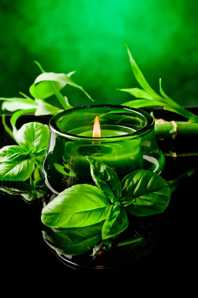 Candle with basil flavour — Stock Photo, Image