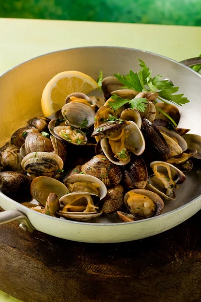 stock image Pan with fresh Clams