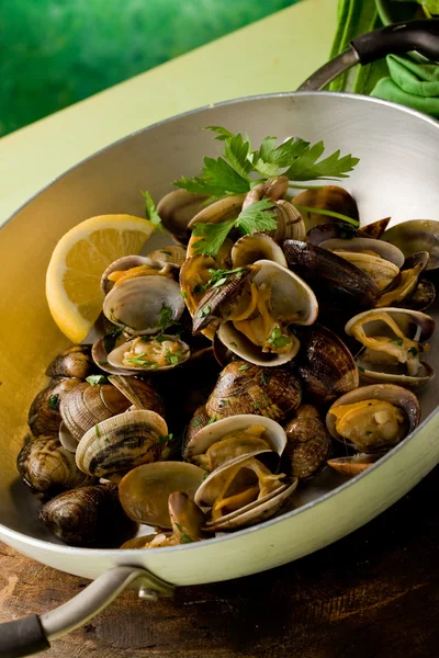 stock image Pan with fresh Clams