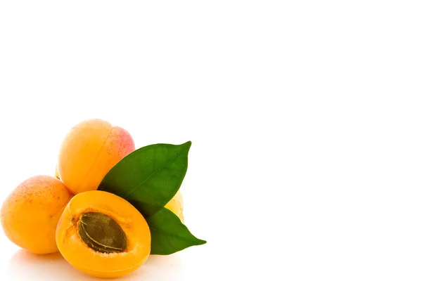 Apricot on white background — Stock Photo, Image