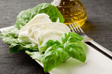 Buffalo Mozzarella with lettuce and basil clipart