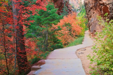 Zion Forest Path clipart