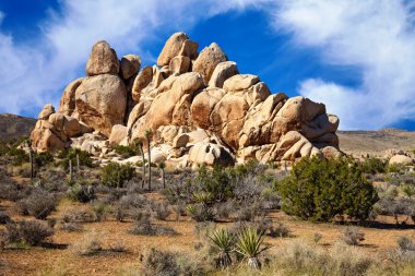 Mojave Çölü kaya oluşumları