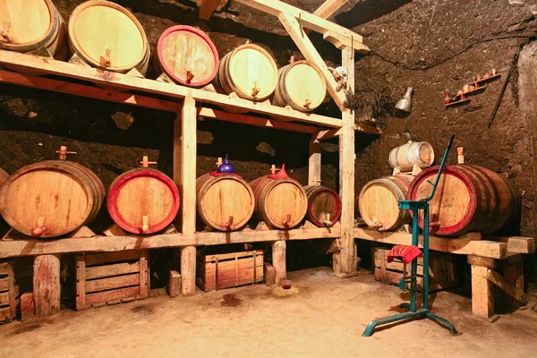 Cave à vin — Photo