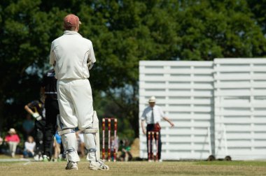 English cricket clipart