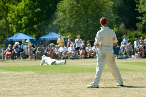Jogo de críquete — Fotografia de Stock