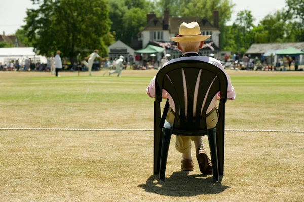 stock image Watching cricket