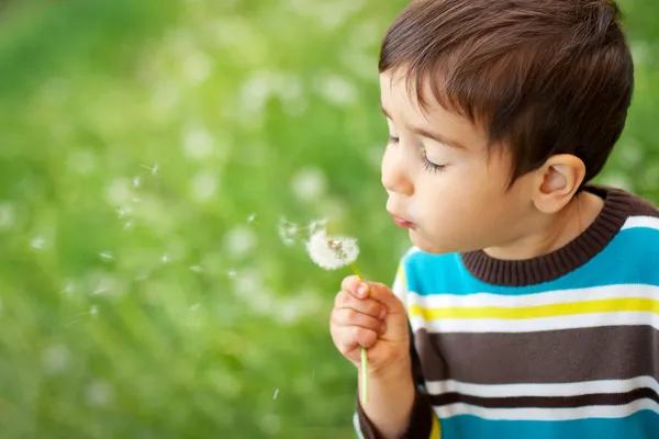 Kid blowing dandelion — Stock Photo, Image