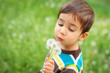 Dandelions üfleme çocuk