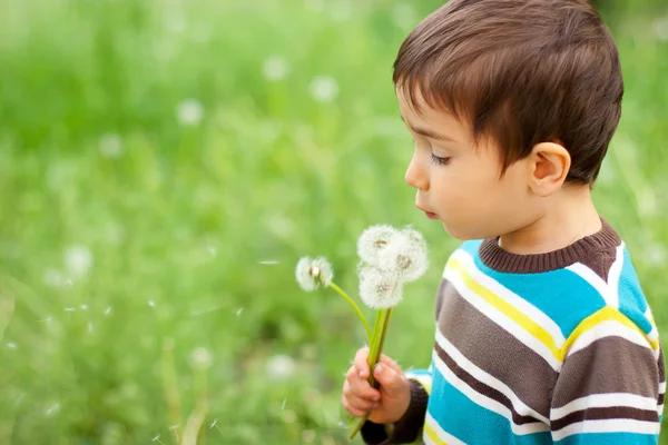 Kid blowing dandelions — Stock Photo, Image