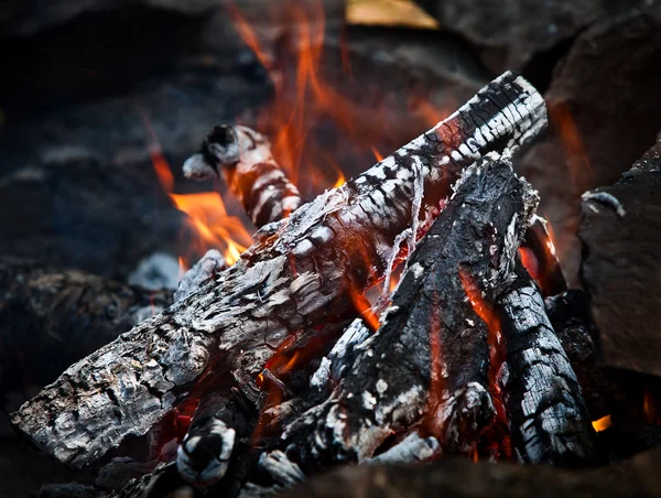 Bonfire. Hot Coals — Stock Photo, Image