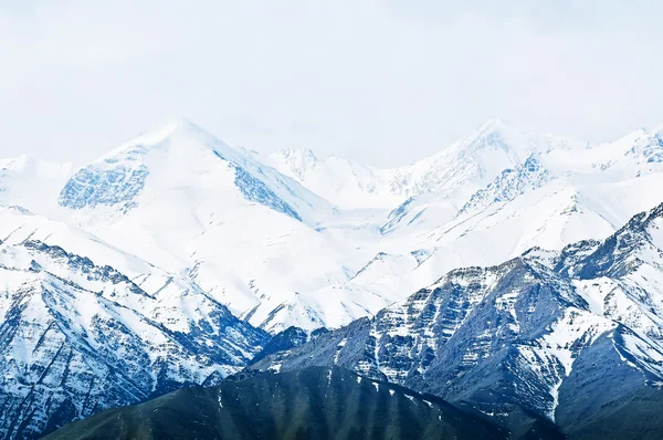 高い山は、雪で覆われてのトップ。インド. — ストック写真