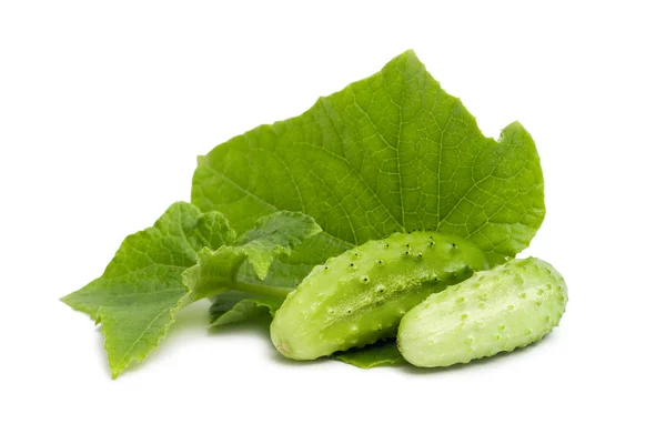 Fresh cucumber with leaves isolated — Stock Photo, Image